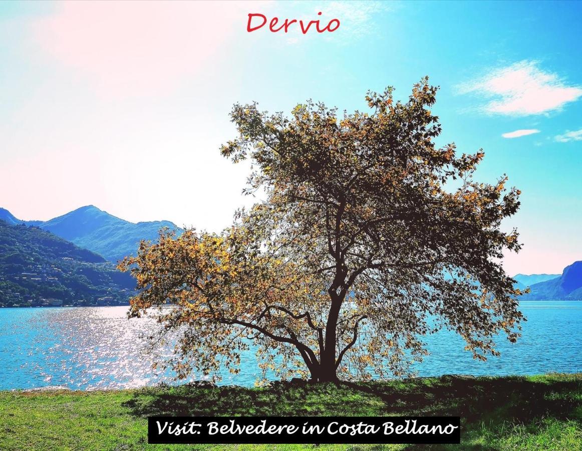 Belvedere In Costa - Lake View Bellano Esterno foto